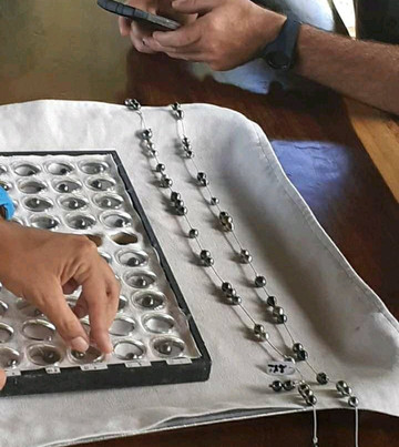 Hamana Cultural Tour-塔哈岛必去景点