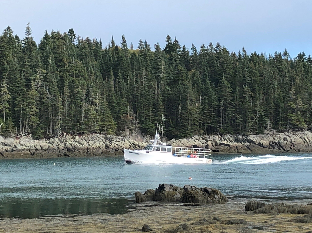 Western Head Preserve Cutler Maine景点图片