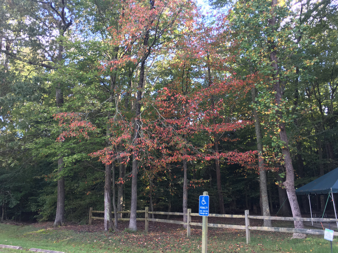 Mason Neck State Park-Lorton必去景点