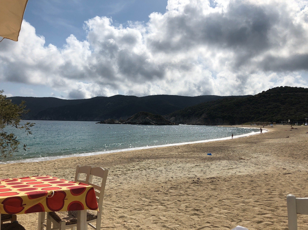 Kalamitsi Beach景点图片