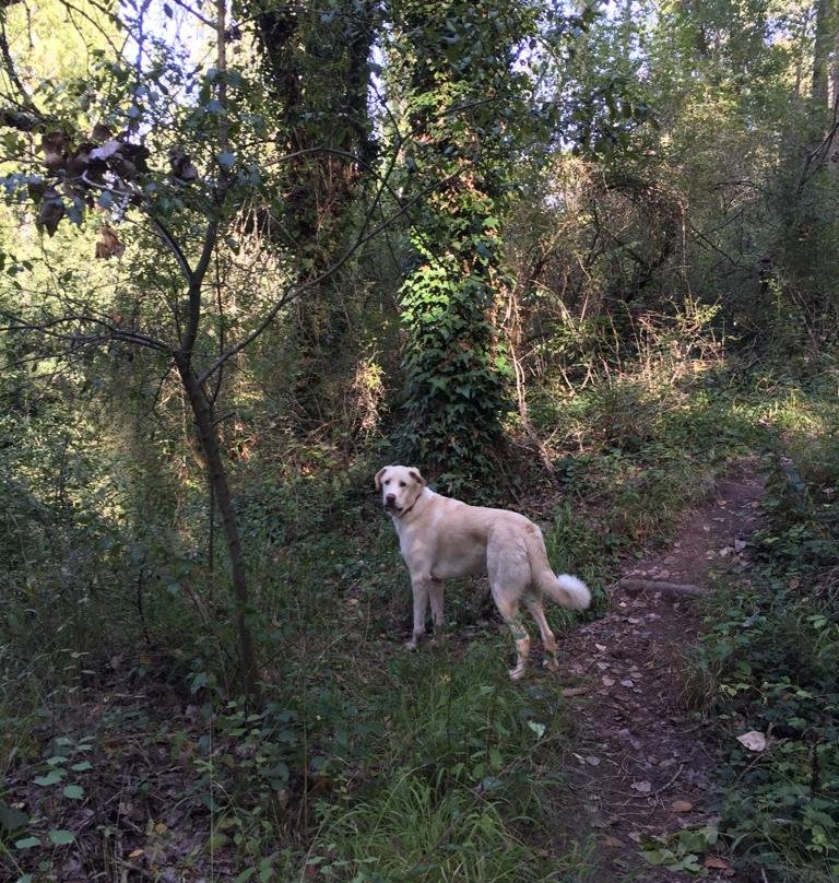 La Senda de los Pescadores-Cuellar必去景点