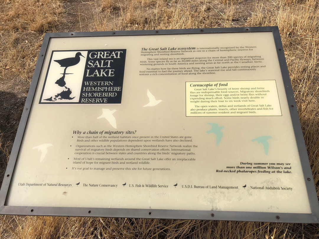 Farmington Bay Waterfowl Management Area景点图片