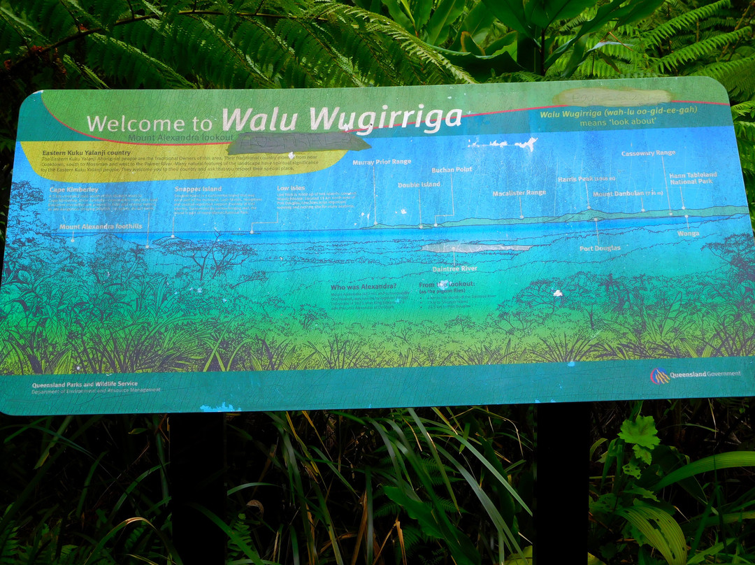 Mount Alexandra Lookout-Cape Tribulation必去景点