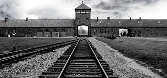 Auschwitz-Birkenau Tours景点图片