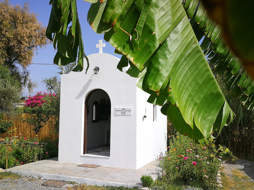 Anastasia's Garden主图