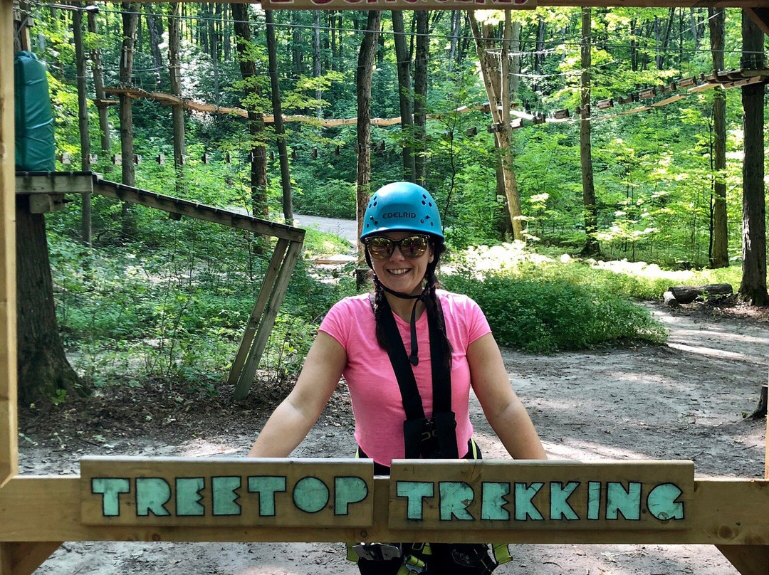 Treetop Trekking-Barrie景点图片