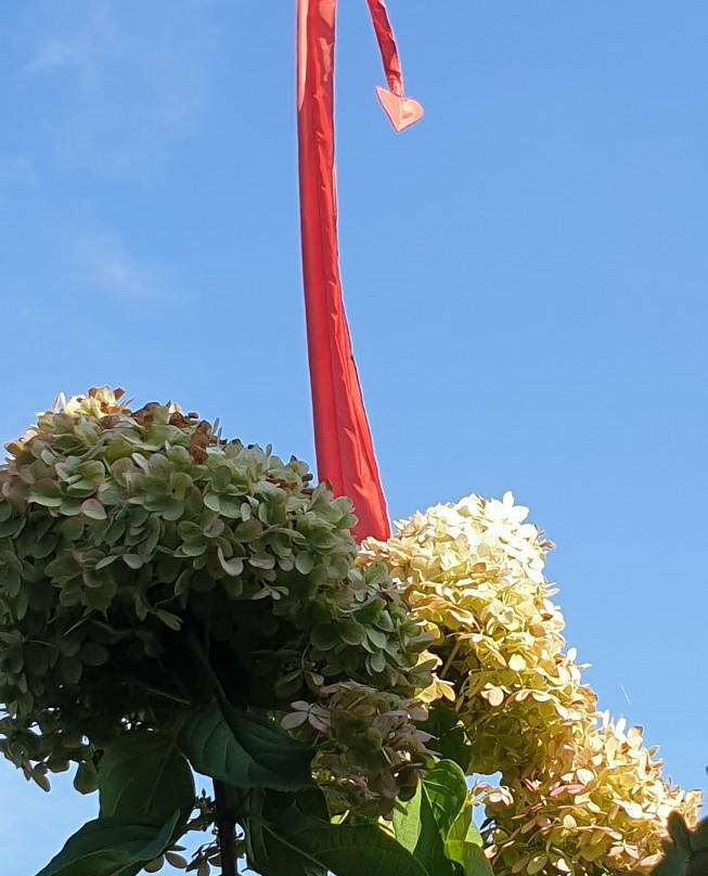 Artzenheim旅游攻略图片