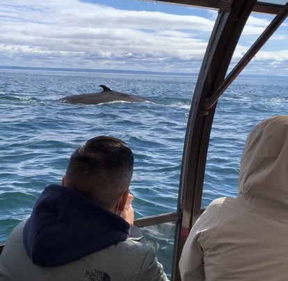 Croisières Neptune-Les Escoumins必去景点