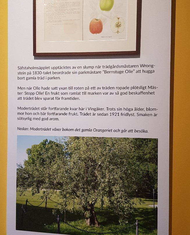 Säfstaholms Slott-Vingaker必去景点