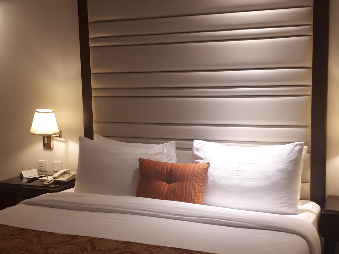 伊斯兰堡富豪酒店主图