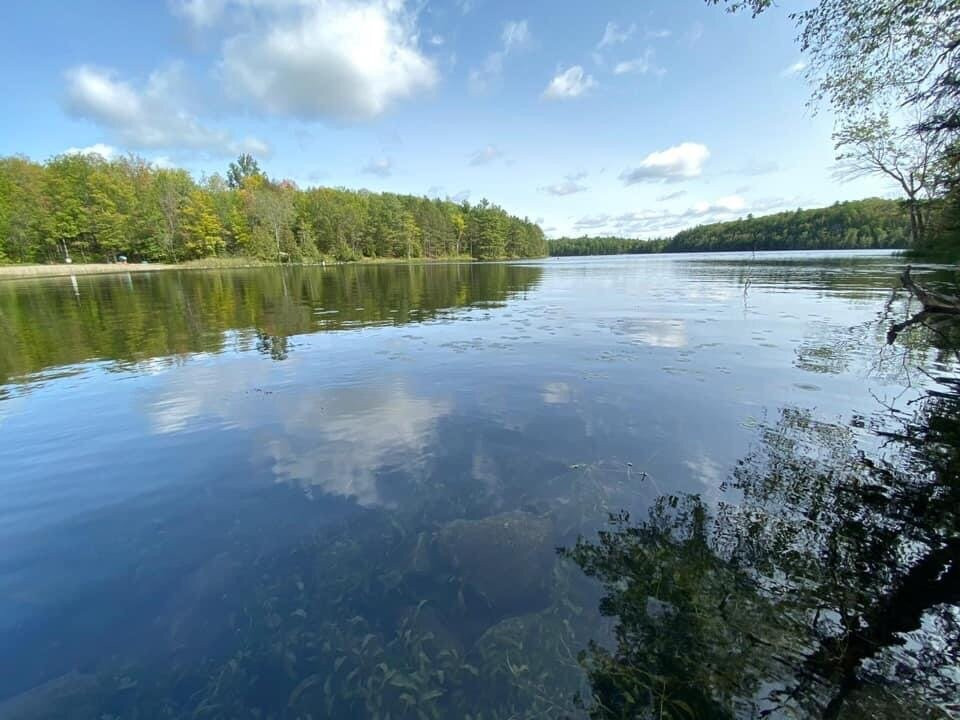 Sharbot Lake Provincial Park景点图片