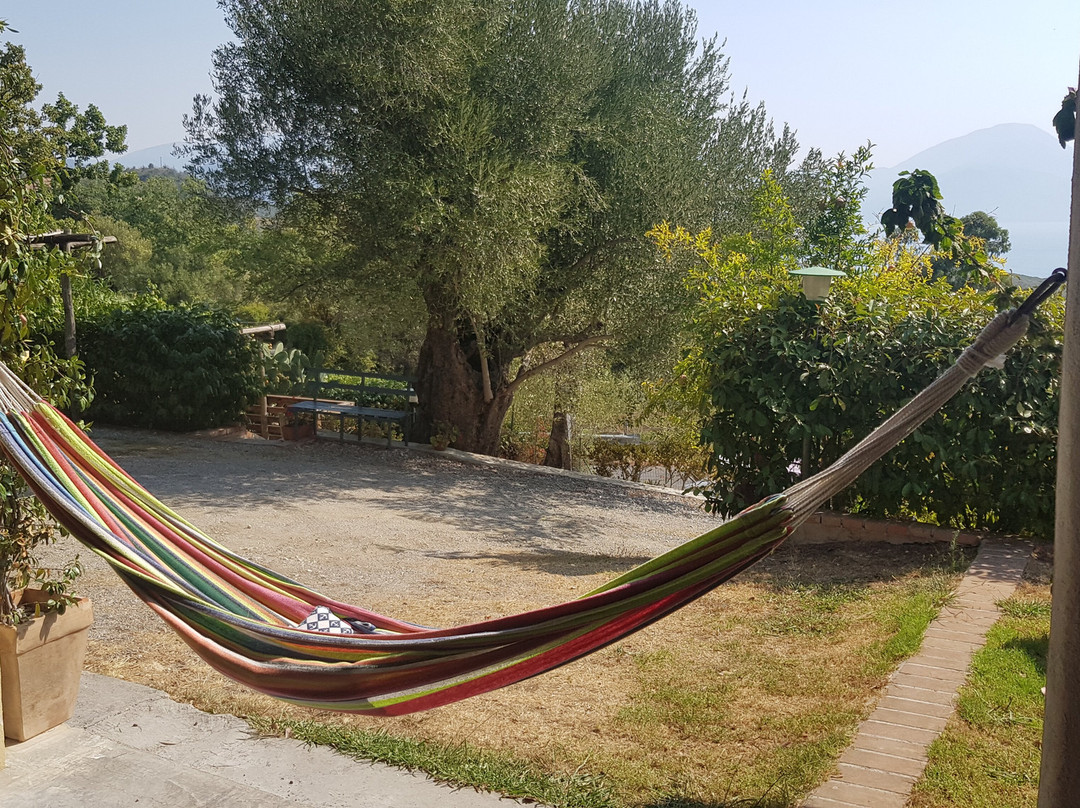 B&B Casa Dei Nonni主图