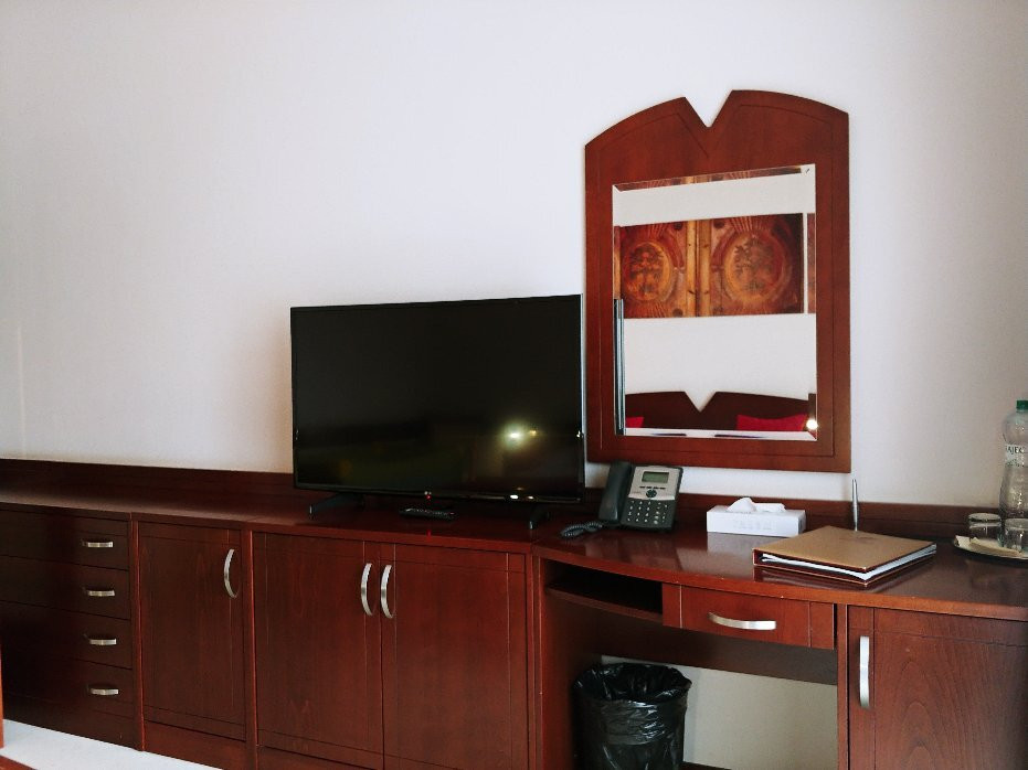 Hotel Impozant主图