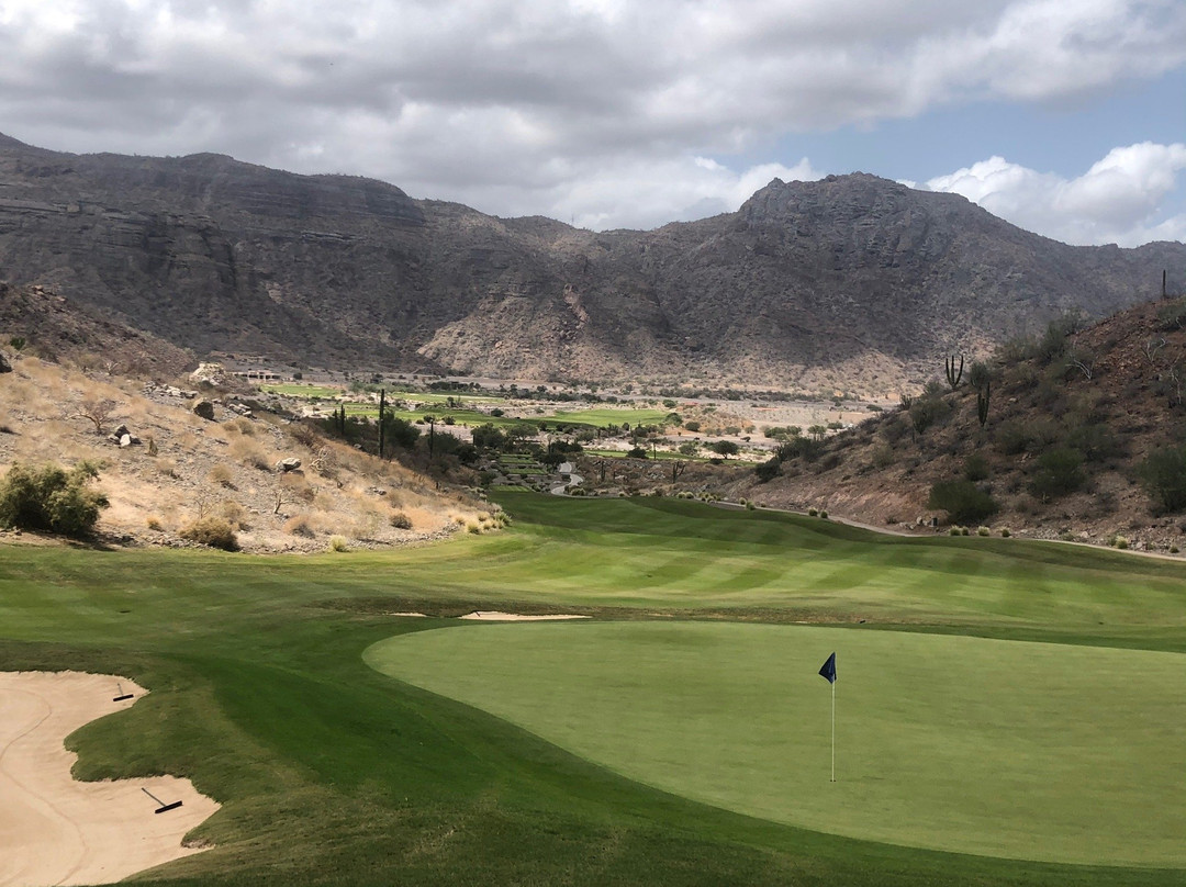 TPC Danzante Bay景点图片