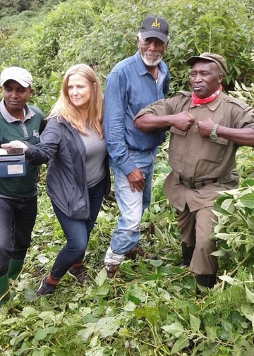 Go primate safaris-Ruhengeri必去景点