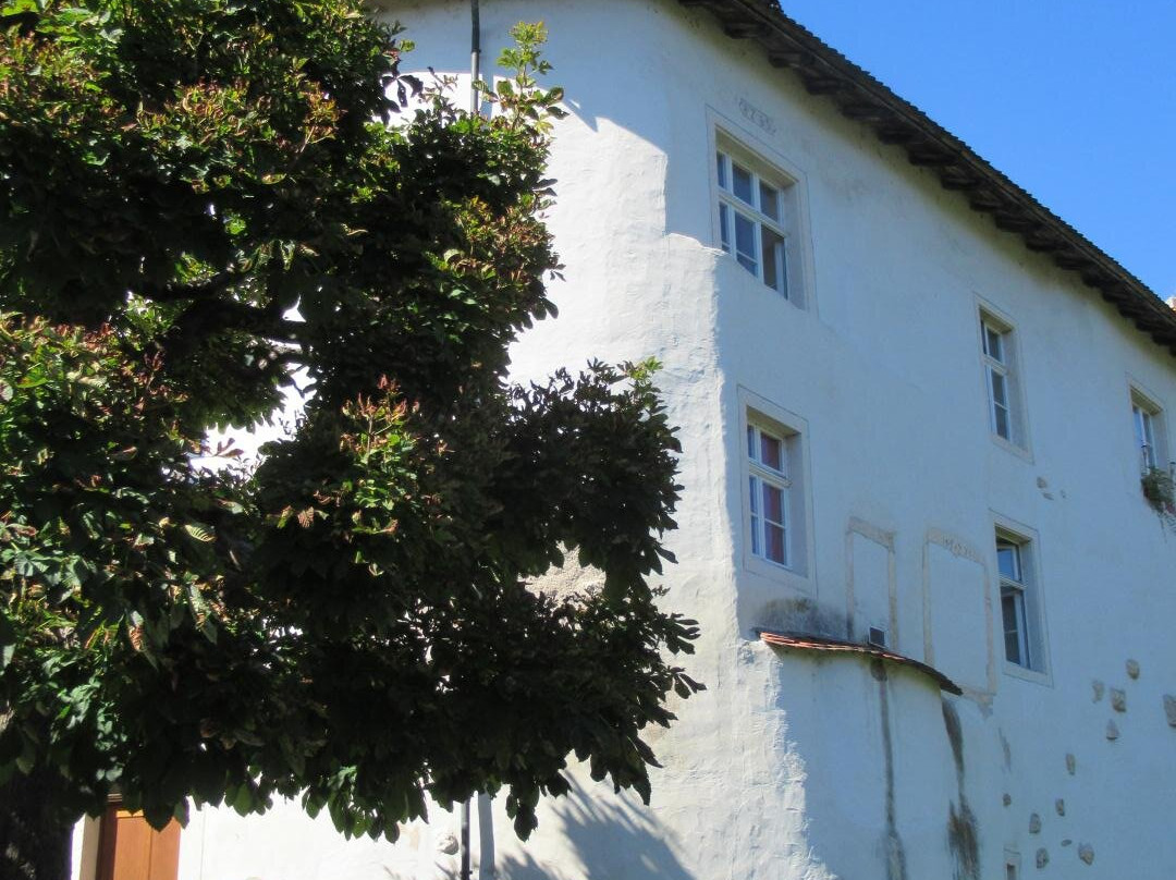 Schloss Zwingen BL-Zwingen必去景点