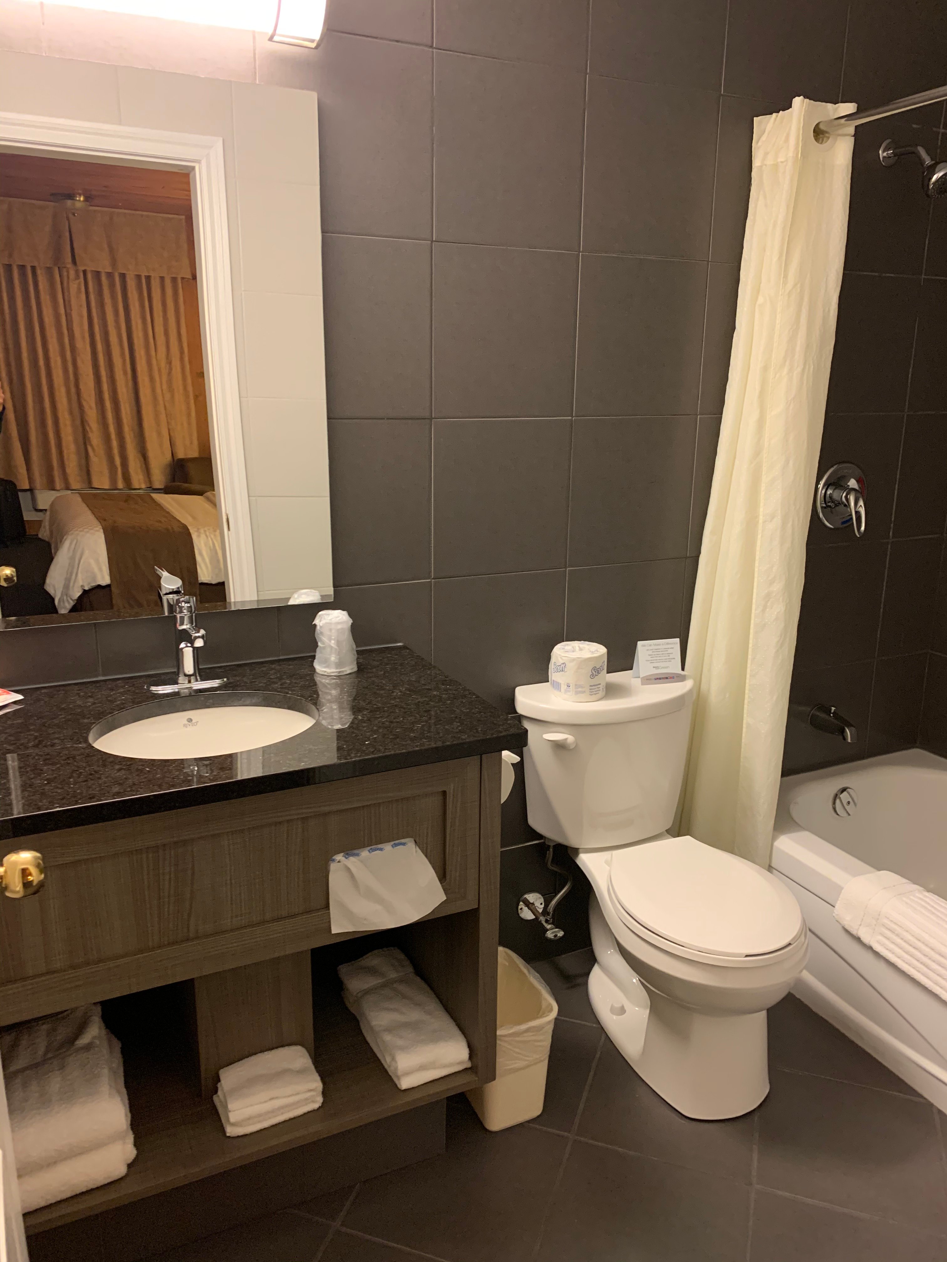 Econo Lodge Forestville-浴室