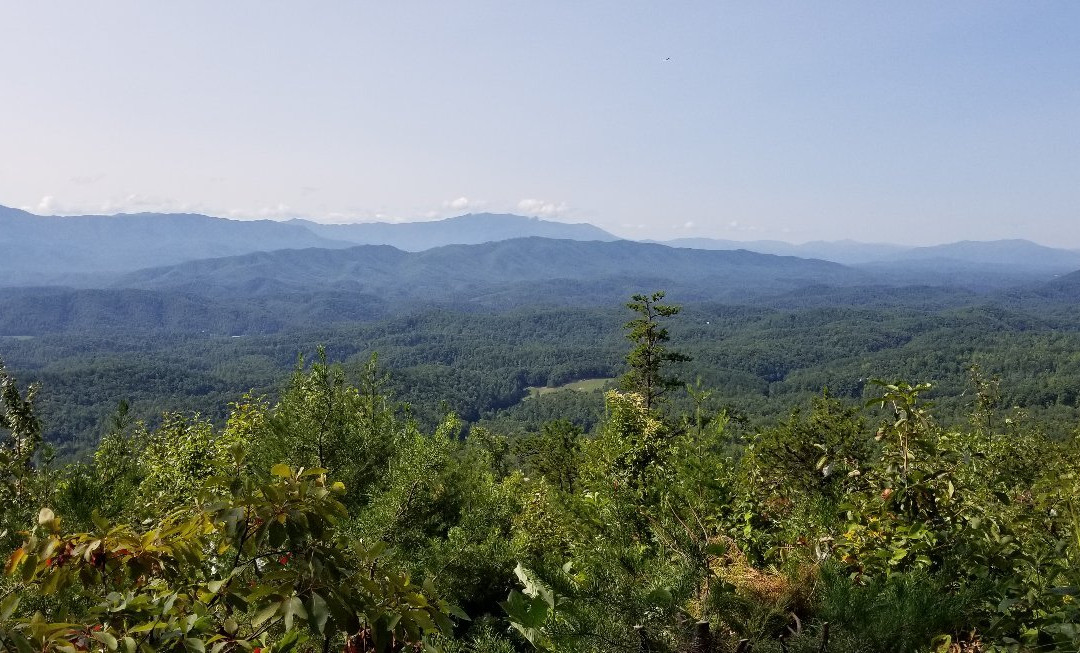 Smoky Mountain Adventure Tours景点图片