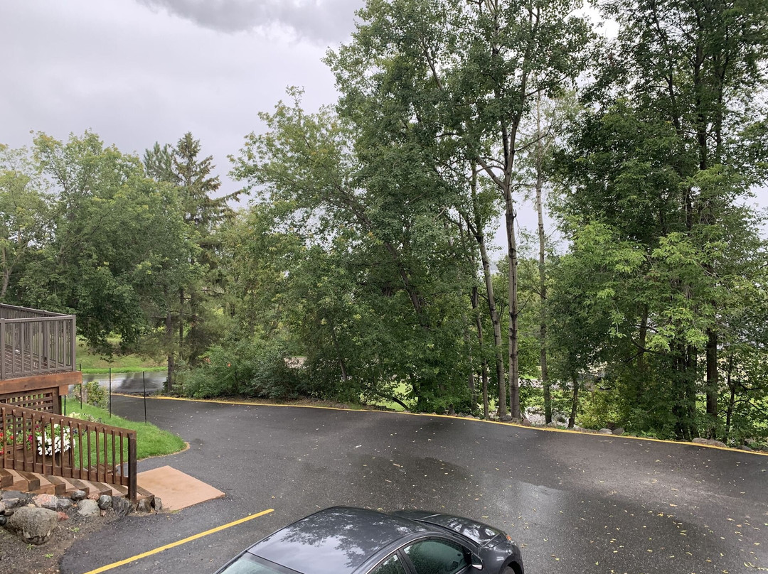 Timberland Inn主图