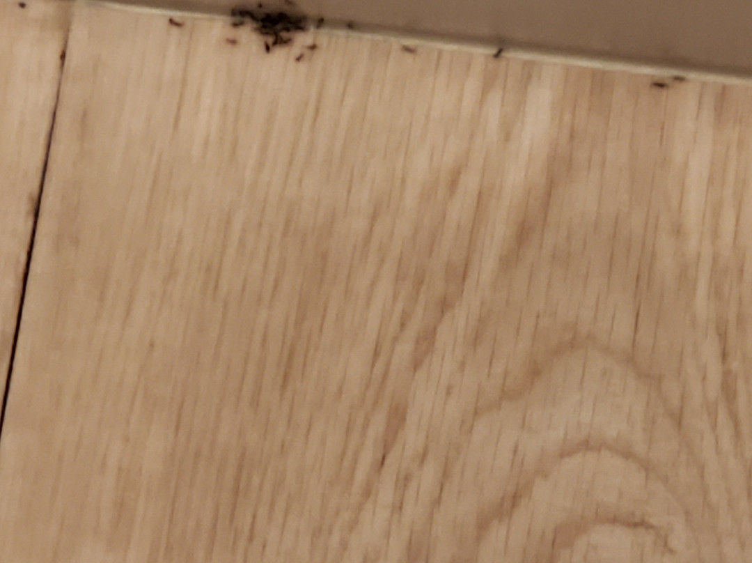 Holiday Inn Express Kansas City - at the Legends by IHG主图