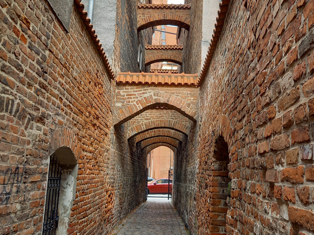 Sciezka Koscielna景点图片
