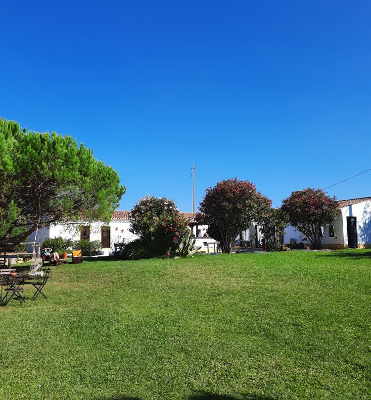 Monte do Papa Léguas主图