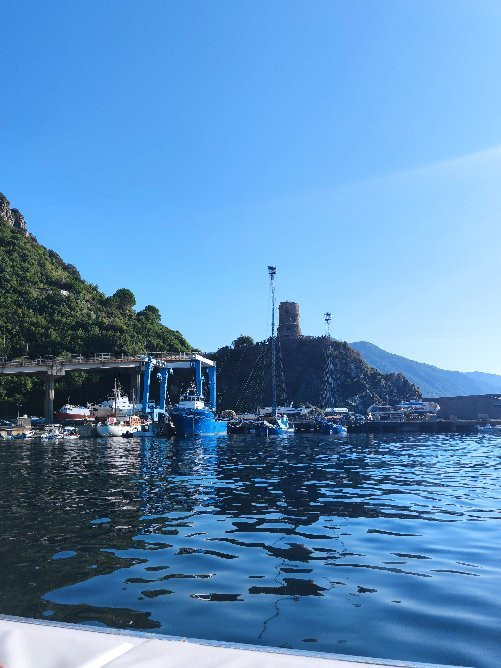 Pink Tour Costa Viola escursioni in barca (Cava Janculla-grotta delle Rondini)-Bagnara Calabra必去景点
