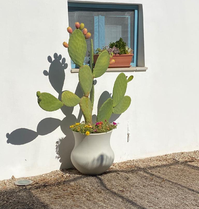 Il Trullo dei Ricordi主图