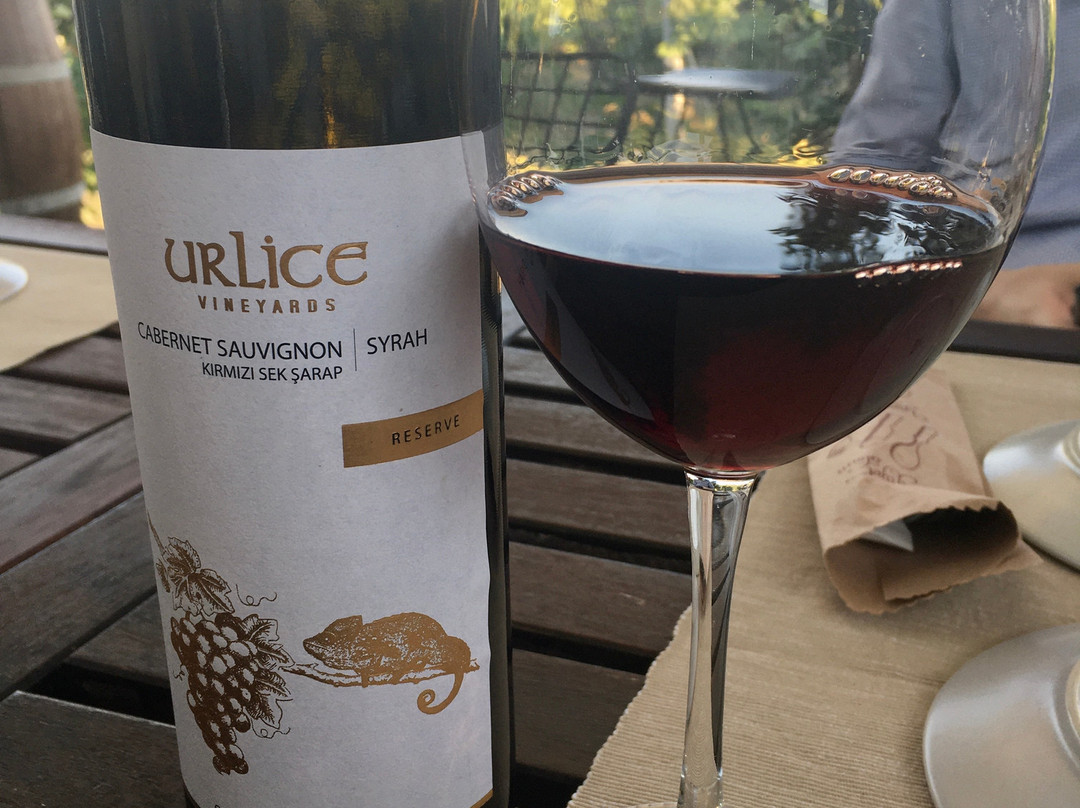 Urlice Vineyards景点图片