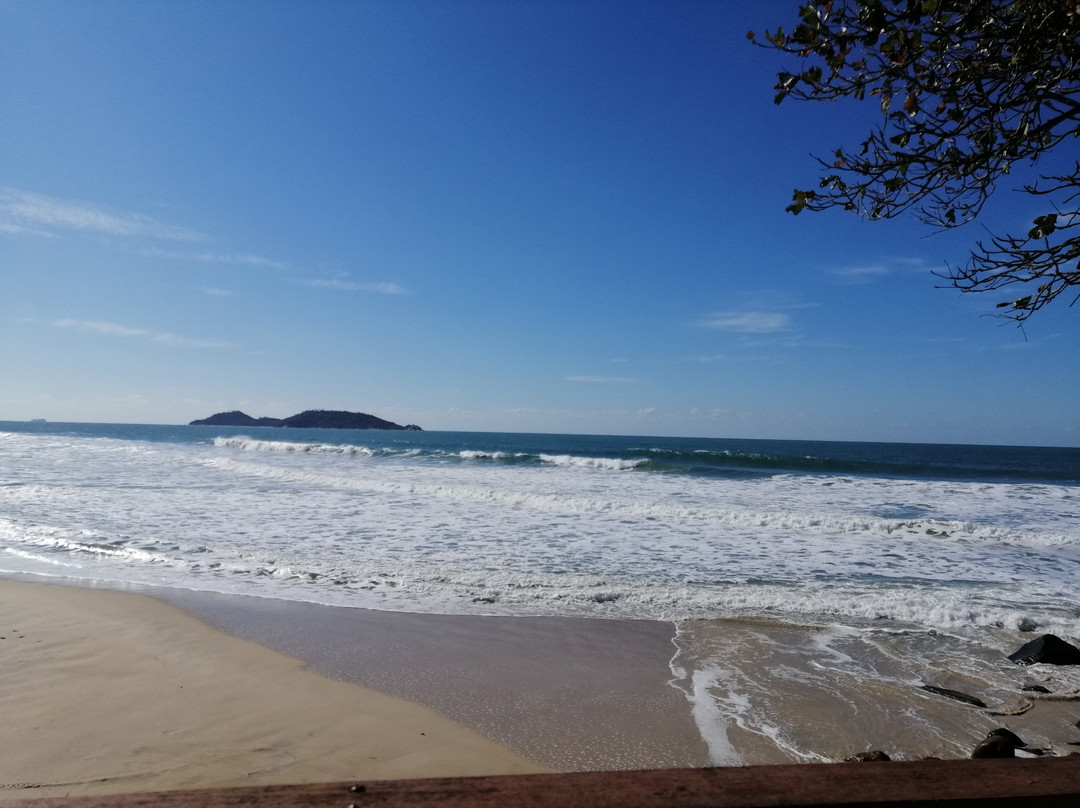 Morro das Pedras Beach景点图片