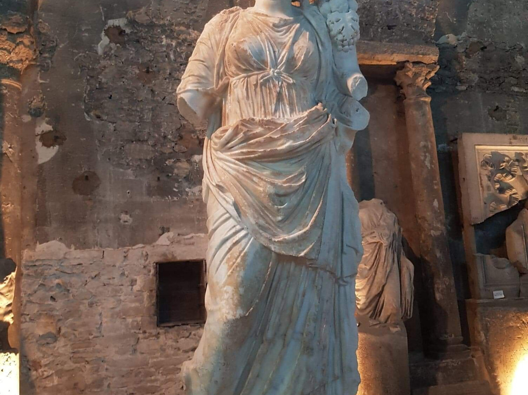 Musee Archeologique Saint-Pierre-维埃纳必去景点