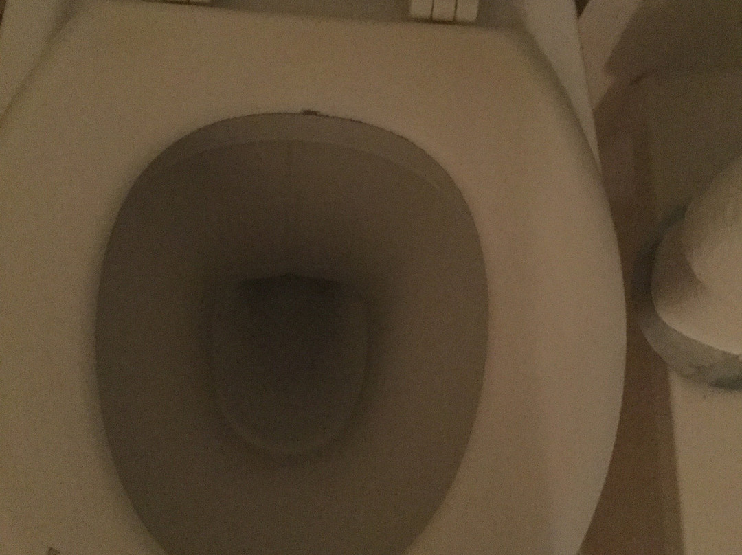 Min-y-mor Hotel主图