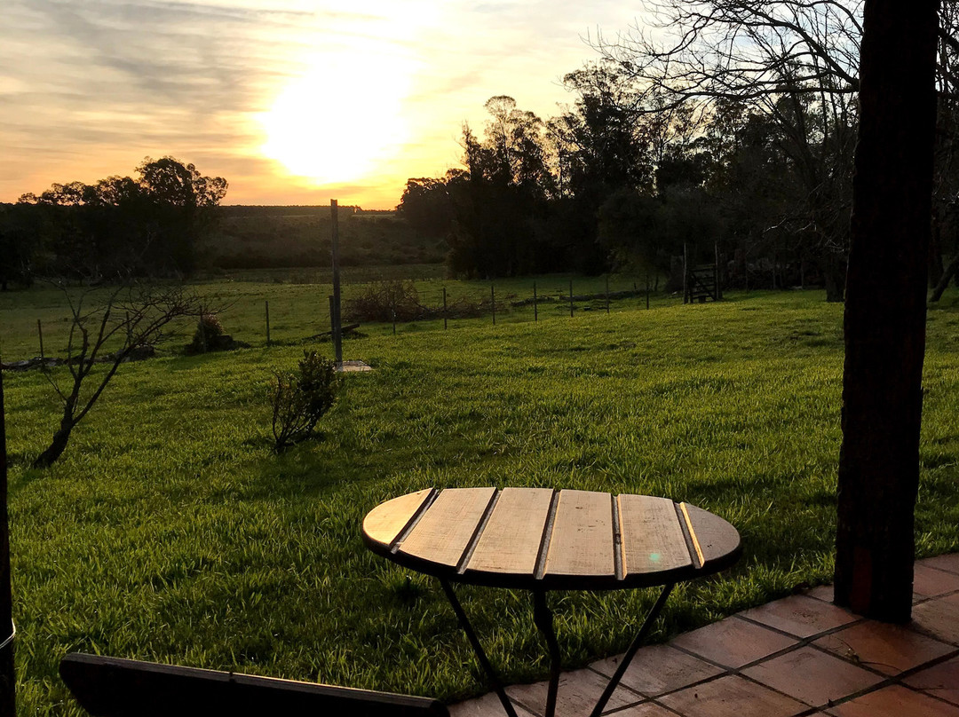 Chacrita del Sur主图