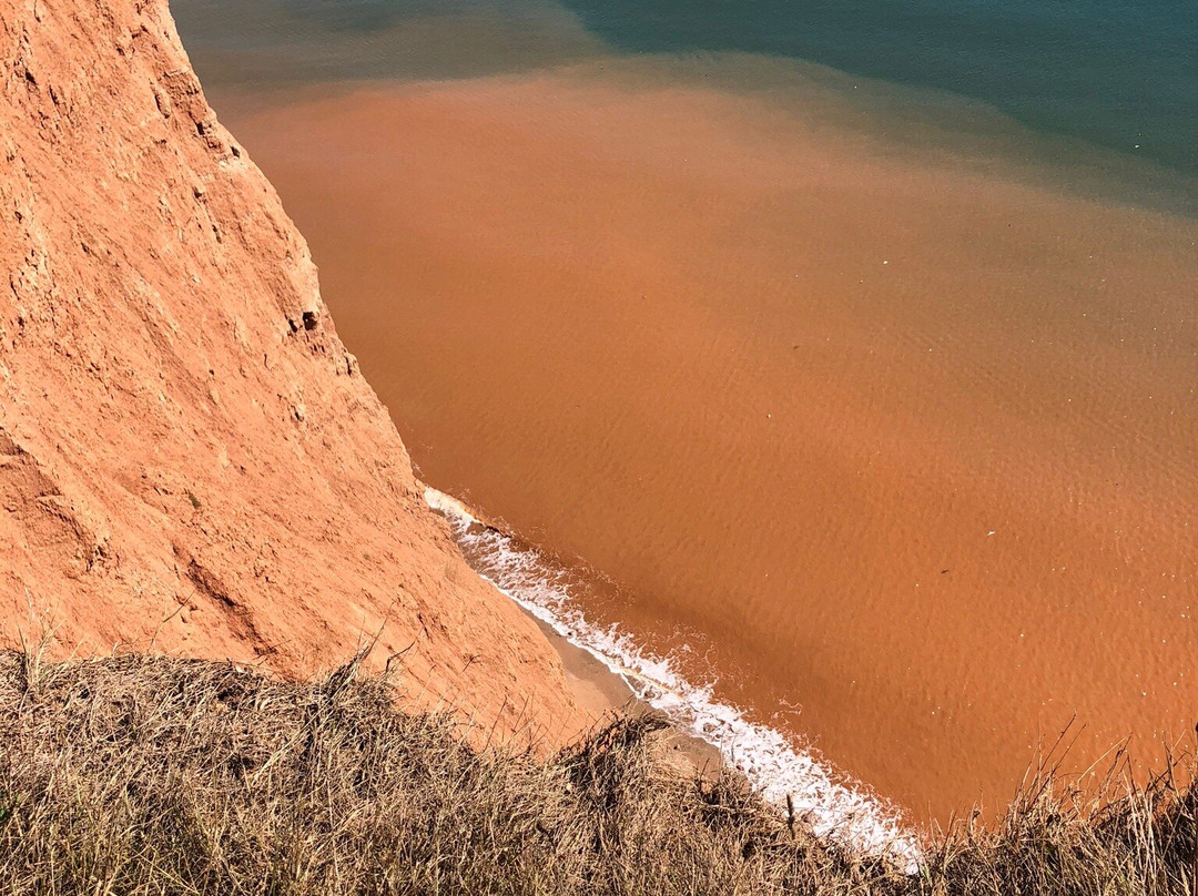 Farmhouse Cottage Bed and Breakfast主图