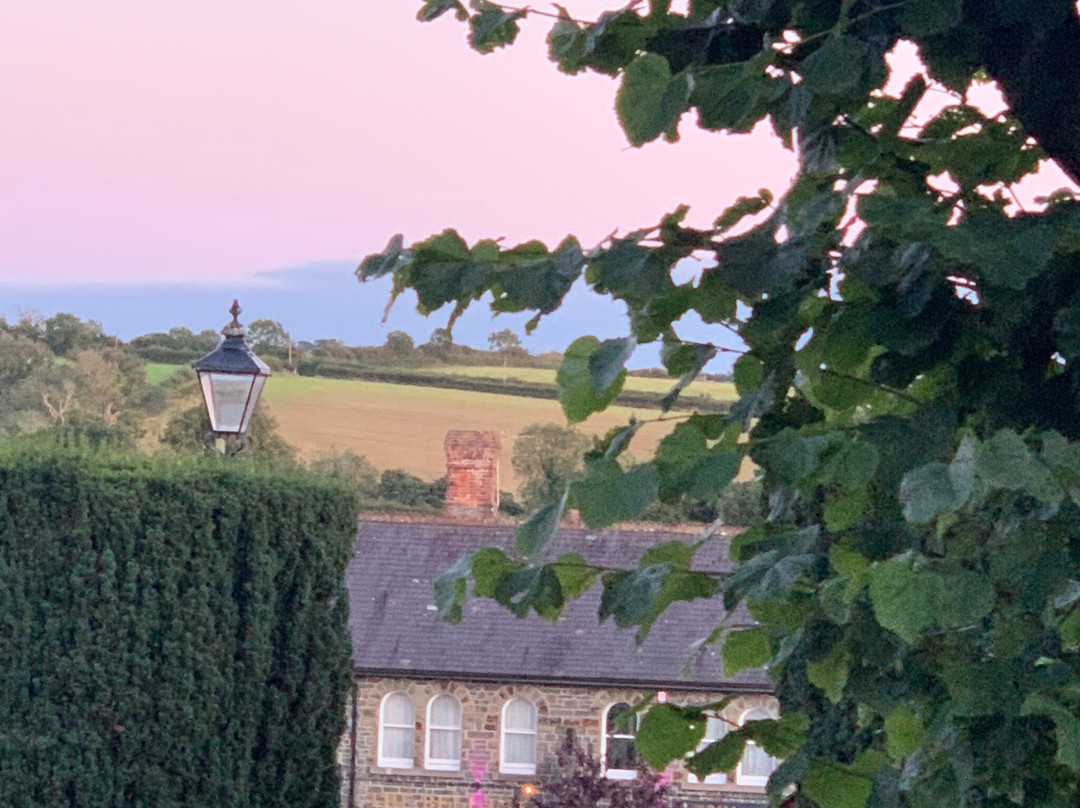 Chittlehampton旅游攻略图片