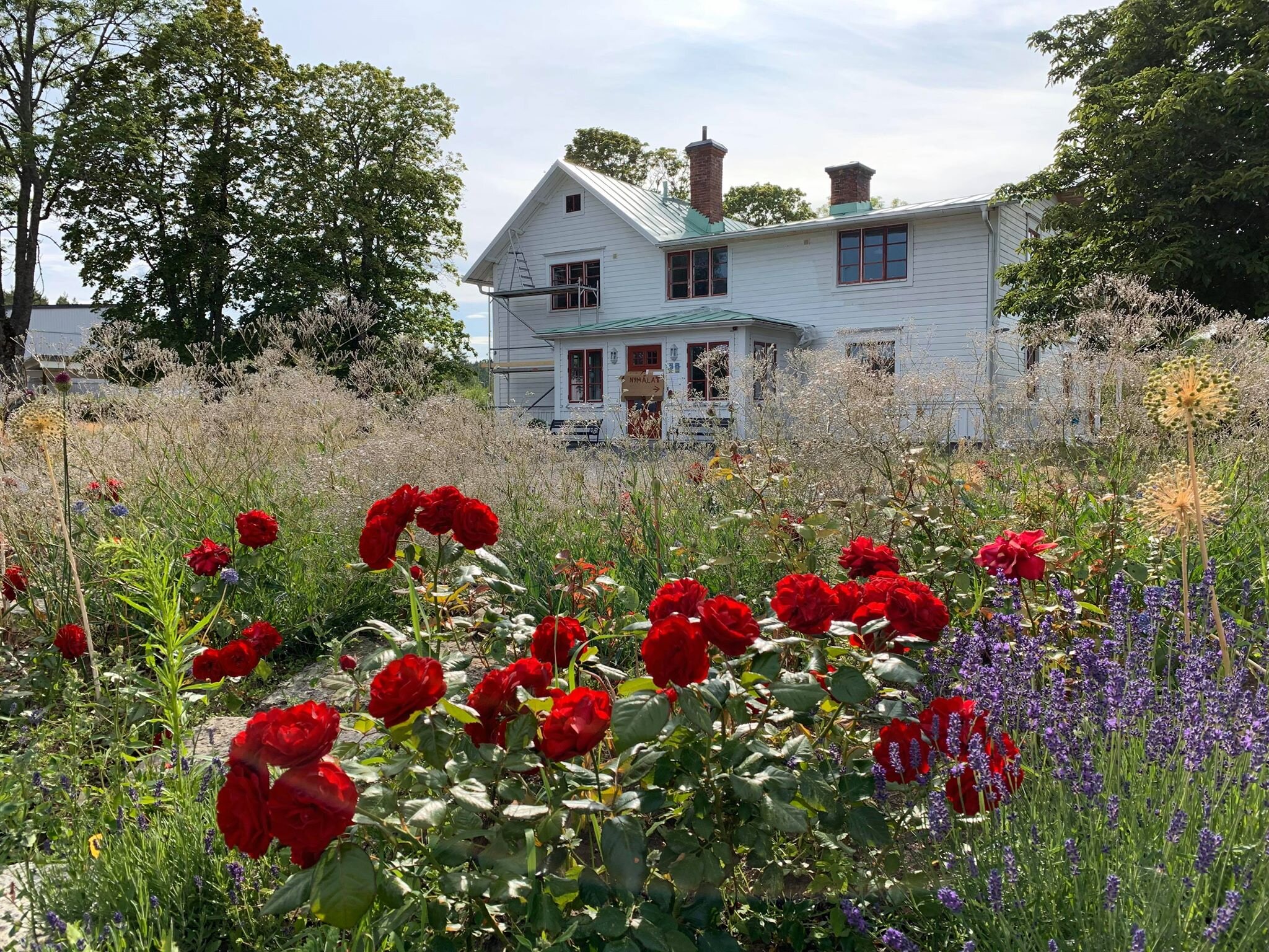 Mamma Carinas Pensionat Bed & Breakfast-浴室