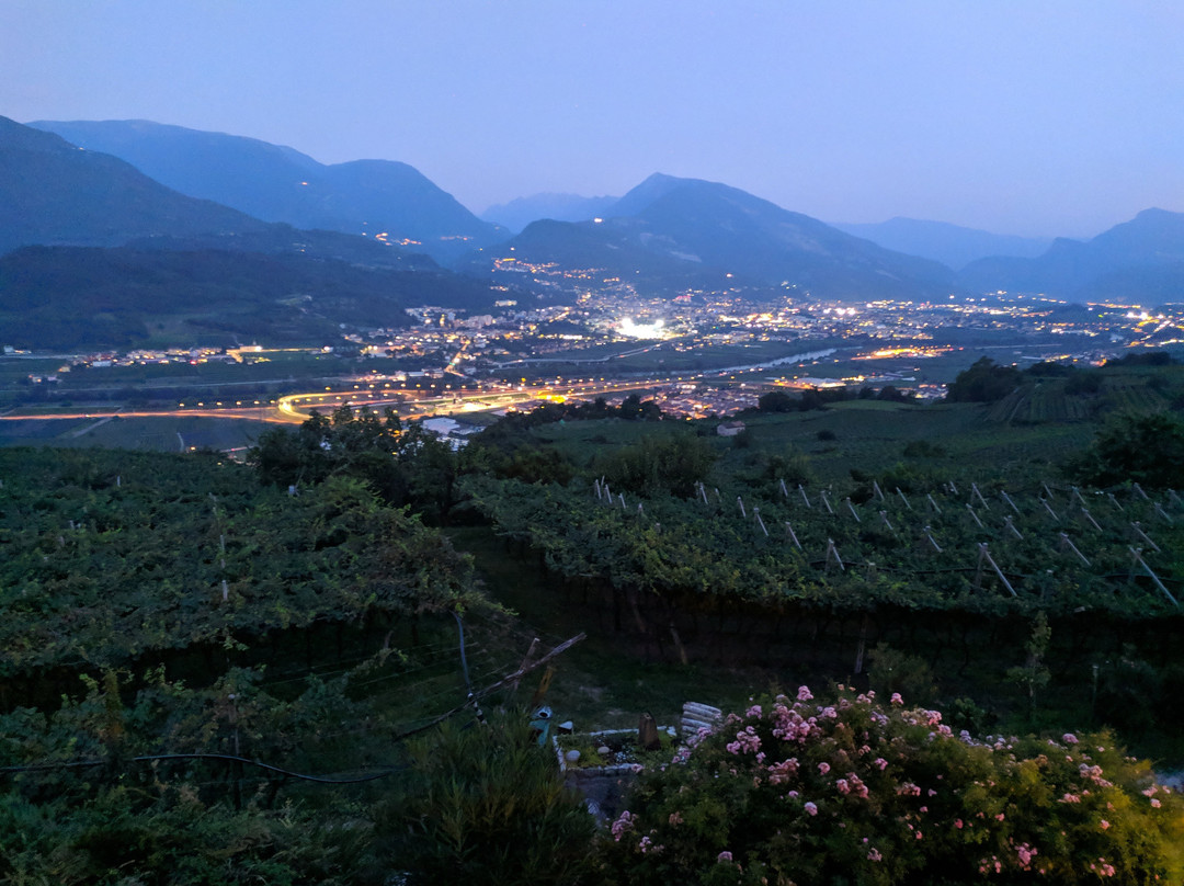 Agritur Le Pergole主图