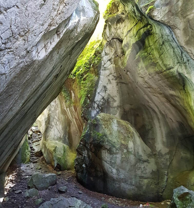 Rappenlochschlucht-多恩比恩必去景点