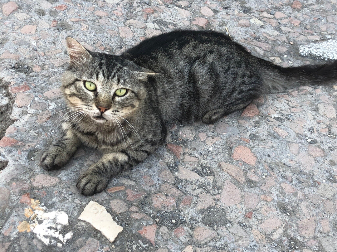 Archeologia a Napoli/Archaeology in Naples-那不勒斯必去景点