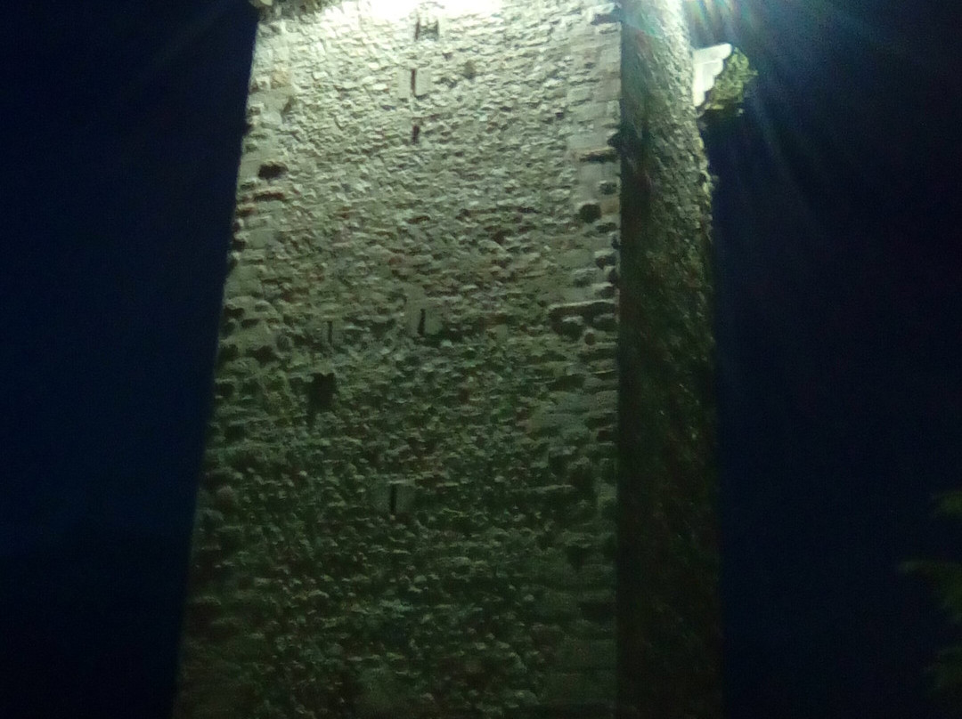 Torre Scaligera景点图片
