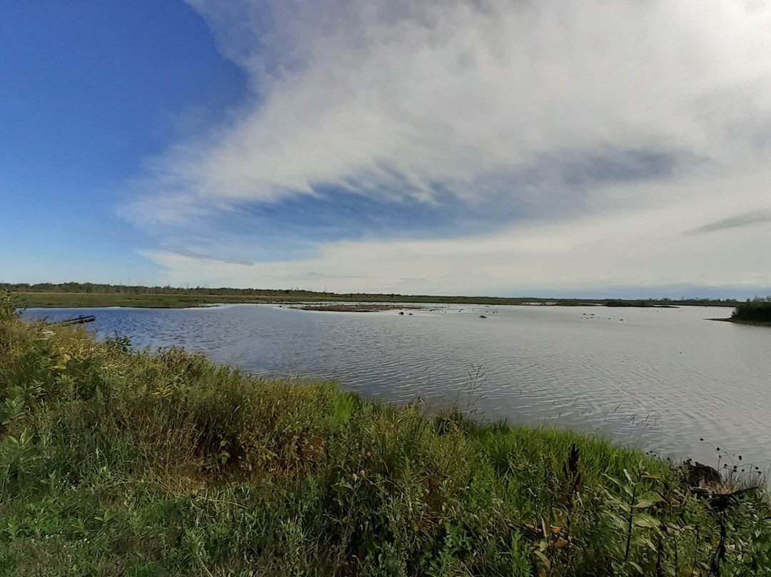 Tuttle Marsh Wildlife Area景点图片