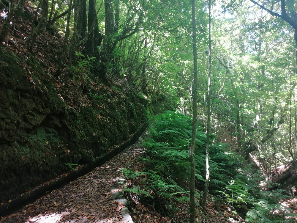 Levada dos Cedros-莫尼什港必去景点