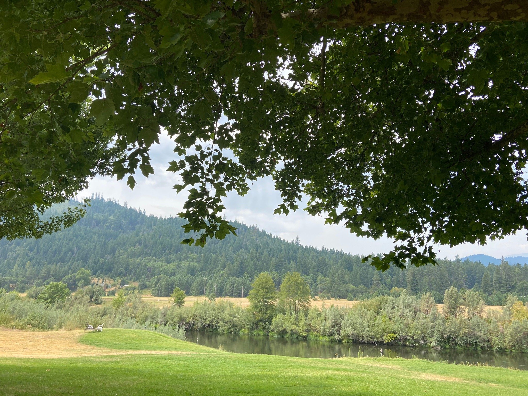 Klamath River Resort Inn-官方