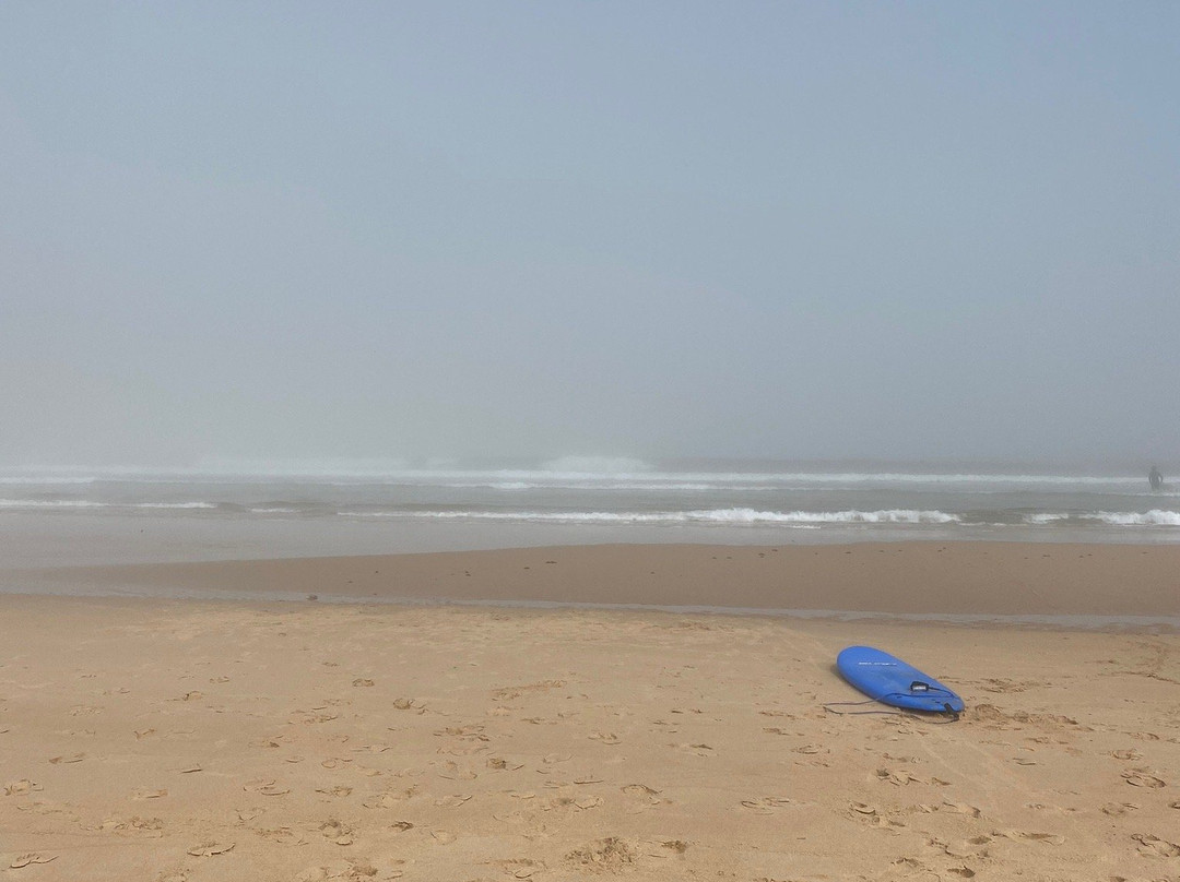 Salty Wave Surf School - Lagos景点图片