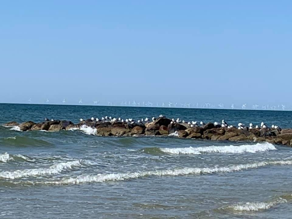 Blaavand Beach景点图片