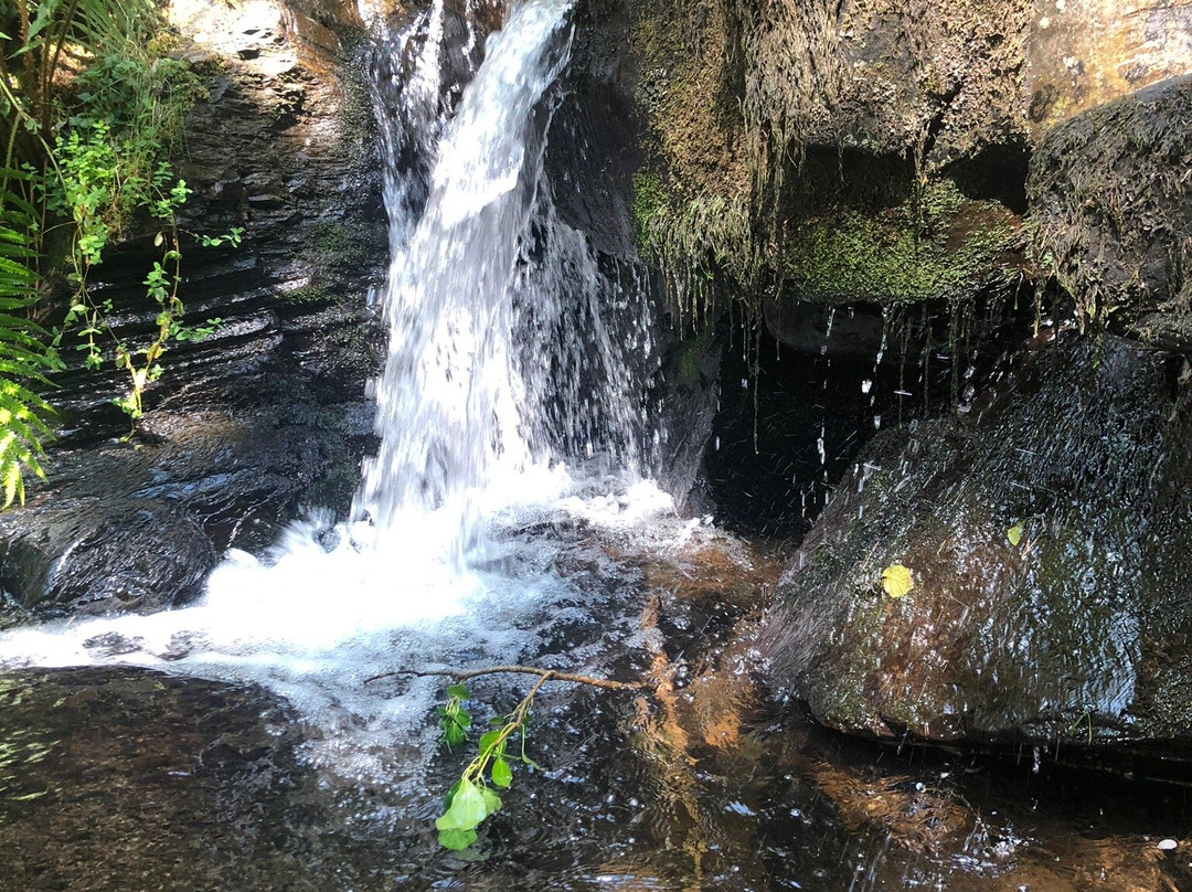 Ruta de La Cascada Seimeira景点图片