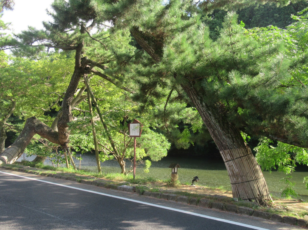 Shiomi Nawate Street景点图片
