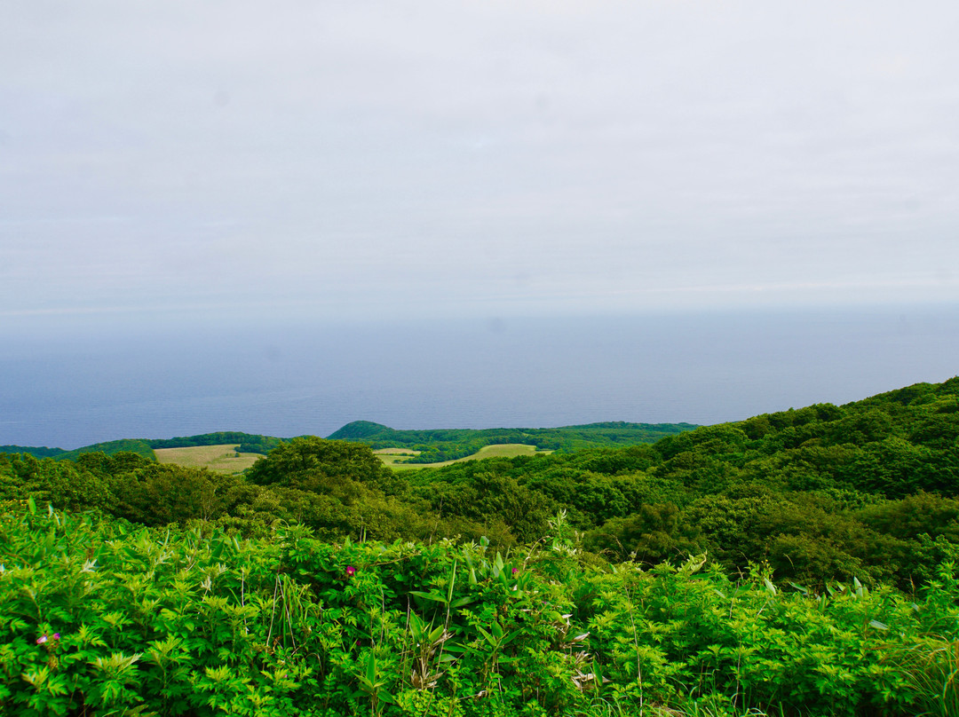 Mt.Tamashima Lookout-奥尻町必去景点