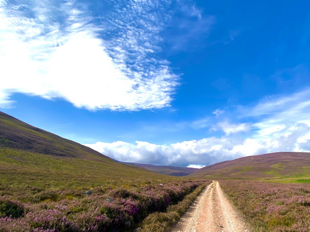 Glen Tanar National Nature Reserve-Aboyne必去景点