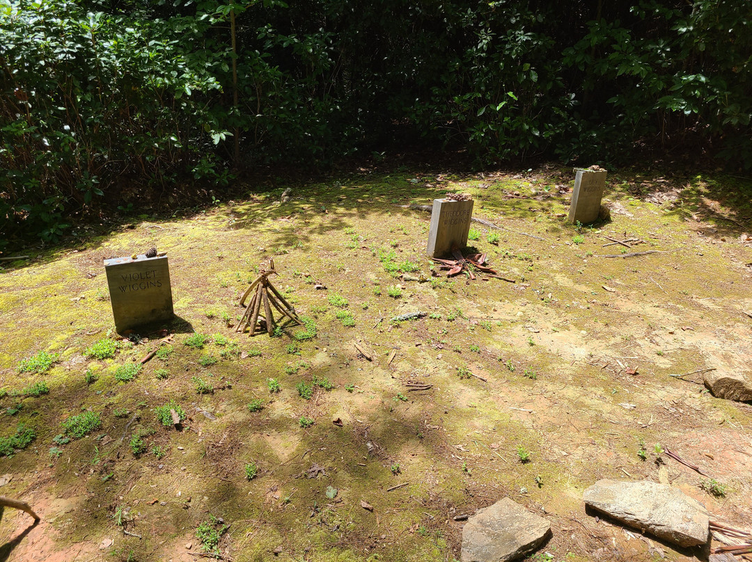 Wiggins Cemetery-大雾山国家公园必去景点